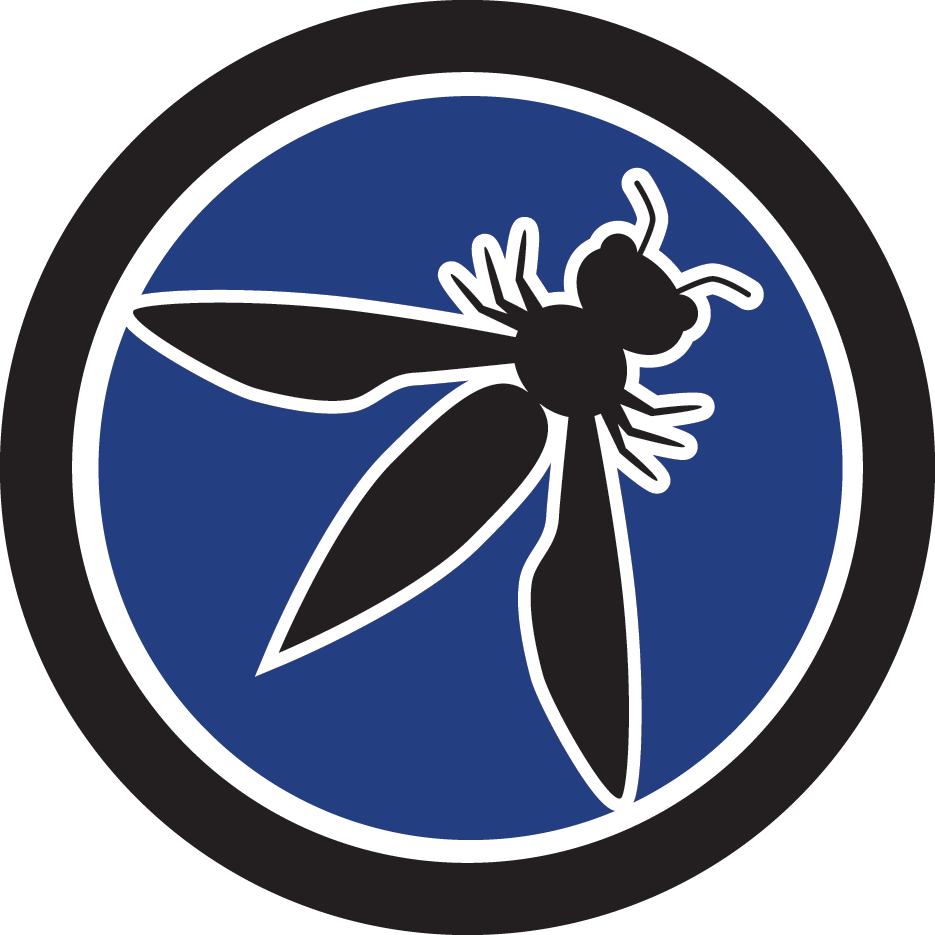 OWASP Top 10